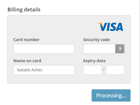 Credit Card input fields