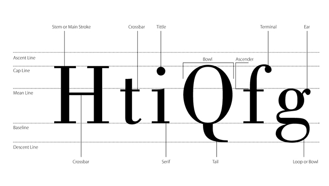 Typography 101 | Wiliam Blog